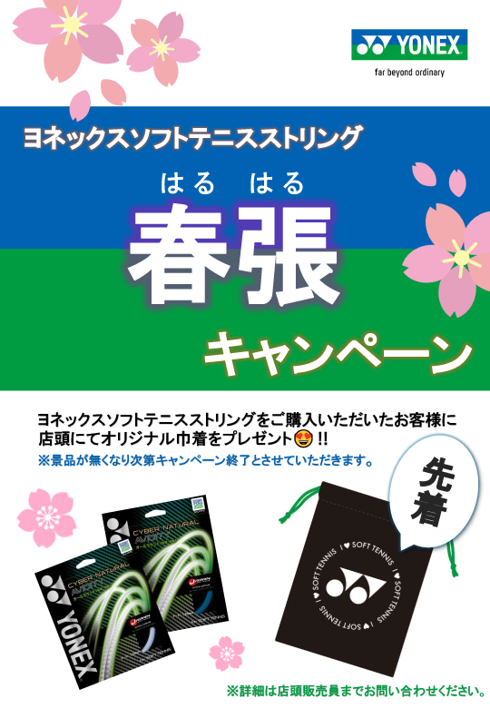 美品 2025年3月30日購入 YONEX GROWENT 150 YONEX ヨネックス POWER CUSHION AD-ACCEL パワークッションアド